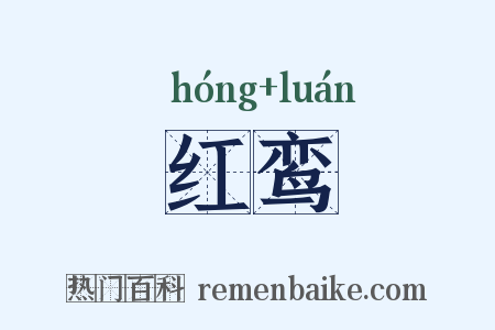红鸾是什么意思的图片